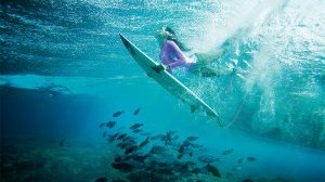 Чтобы поймать волну на Мальдивах, придется дробираться до рифа у вашего острова. Зато уходить под воду одно удовольствие: барракуды, сладкогубы и рыбы-ласточки ходят косяками