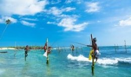 Шри-ланкийские рыбаки на насестах